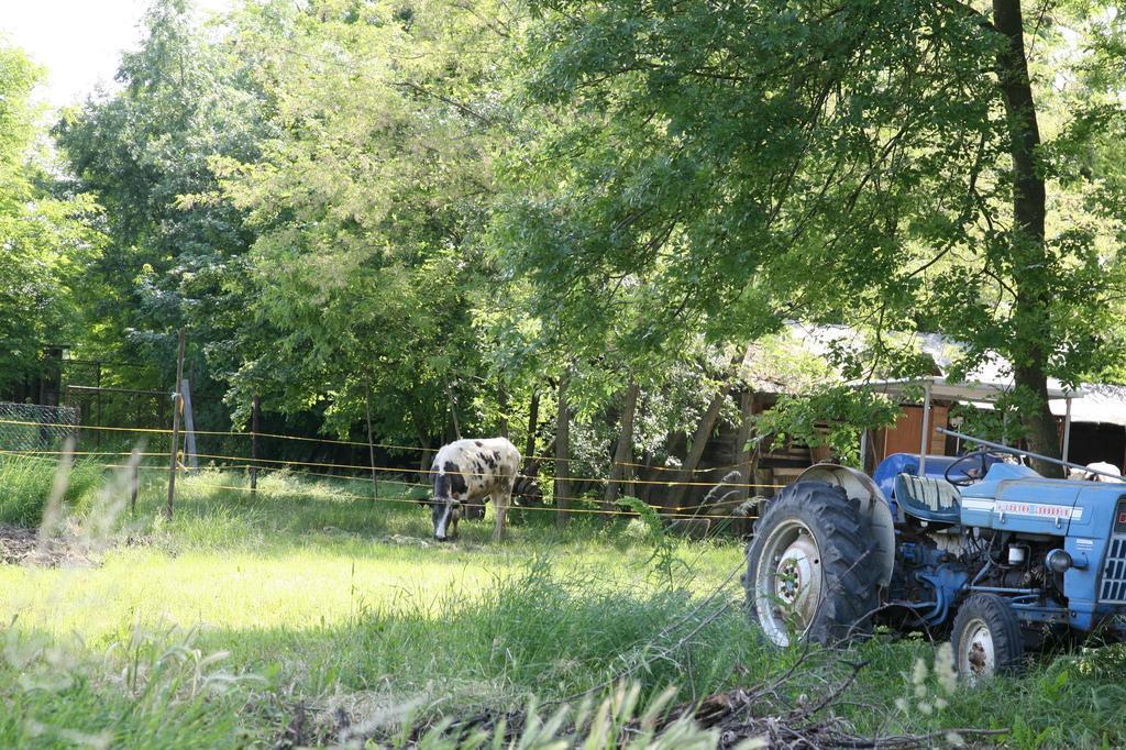 Agriturismo Maliso Ceggia Exteriér fotografie