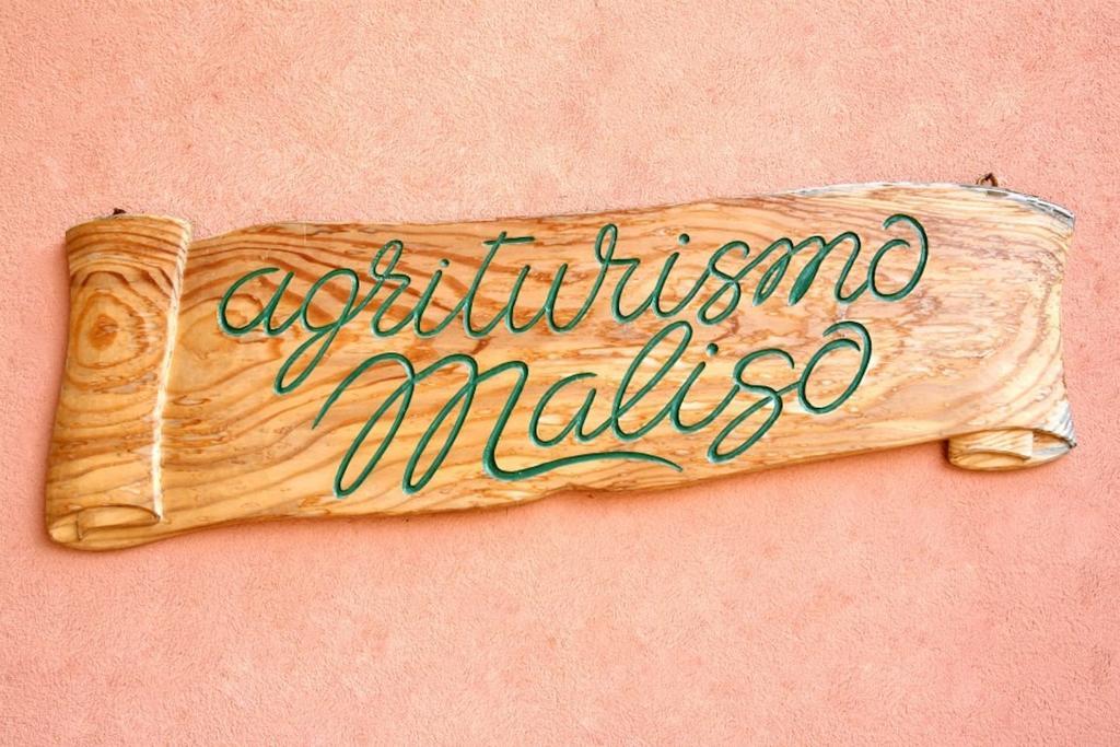 Agriturismo Maliso Ceggia Exteriér fotografie